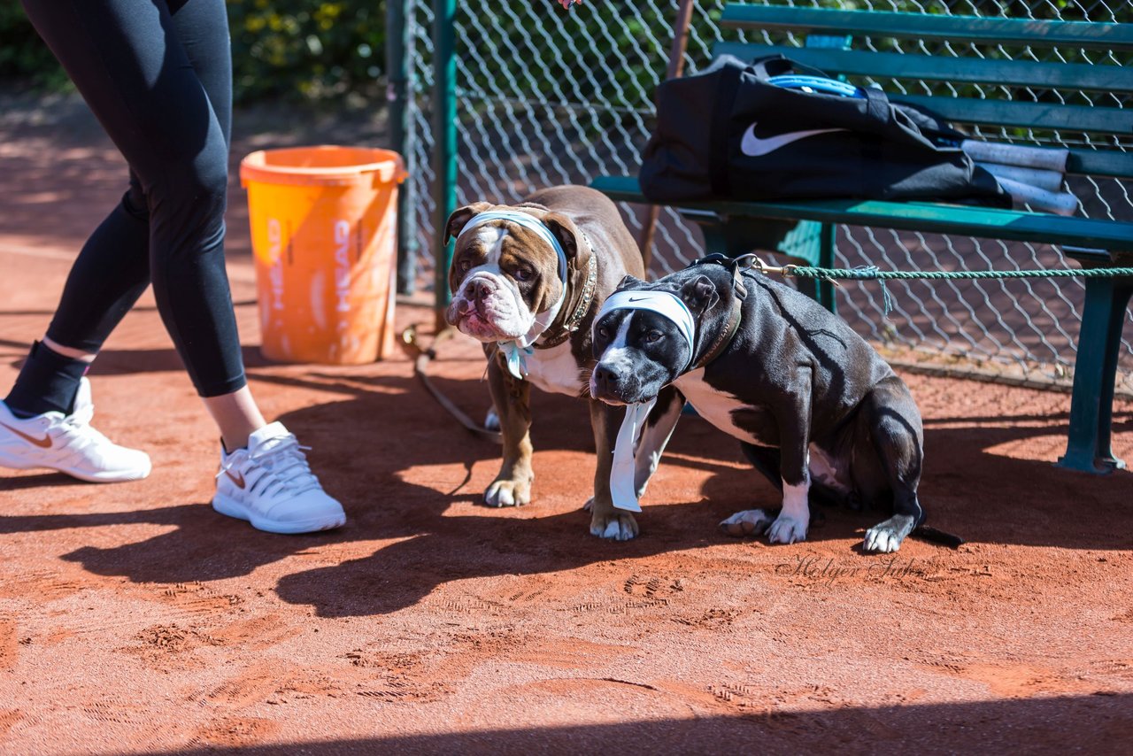 Trainingstag am 20.4.19 2 - Training mit Carina